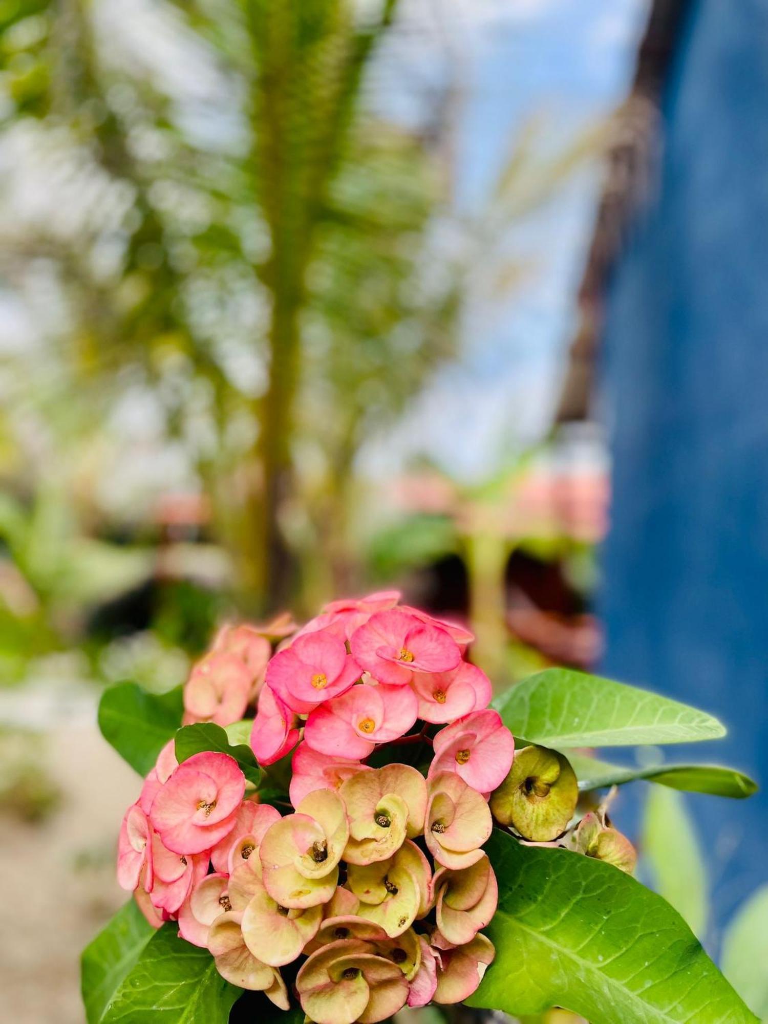 Un Dia Boutique Resort Playas Exterior photo