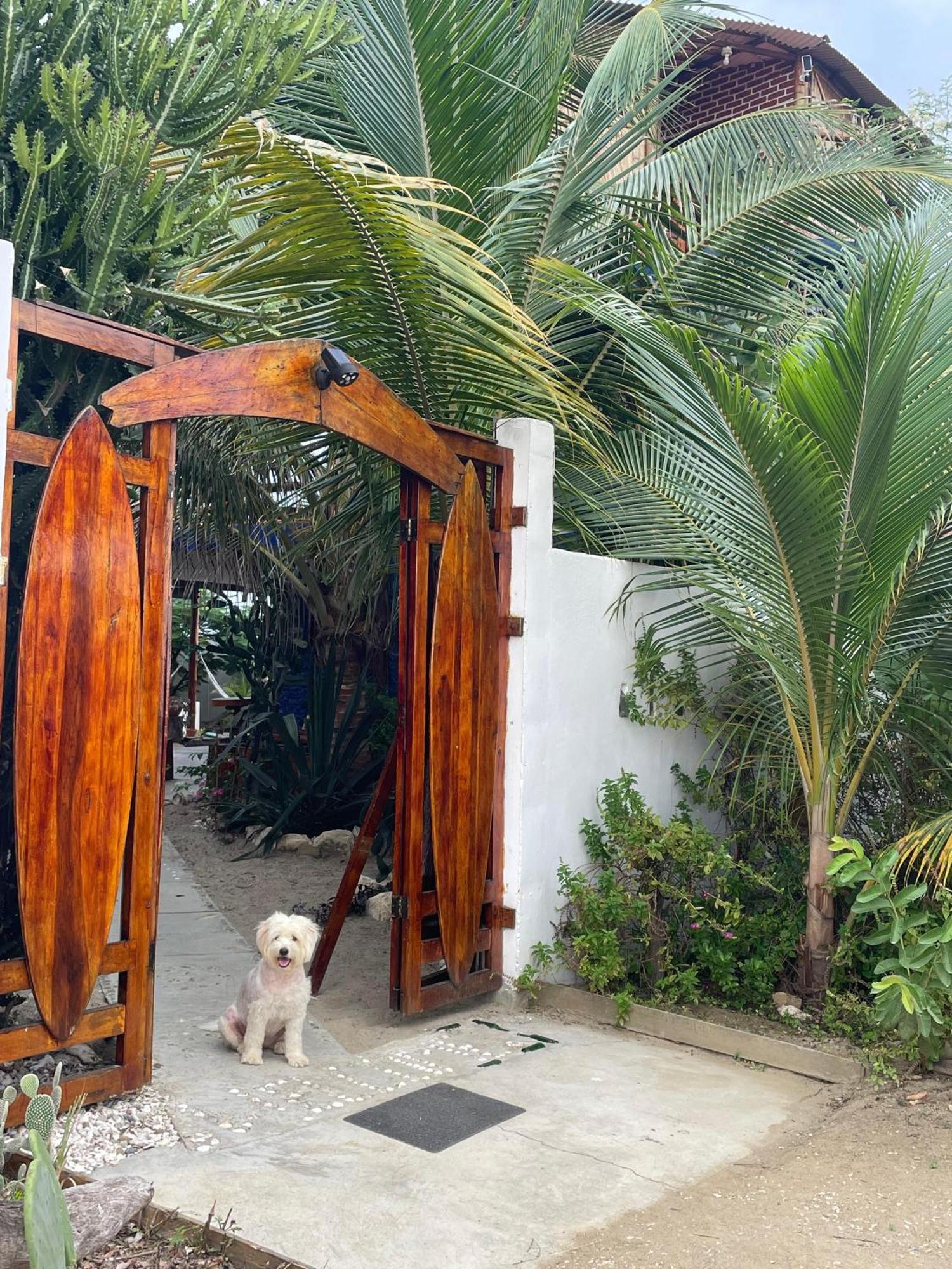 Un Dia Boutique Resort Playas Exterior photo